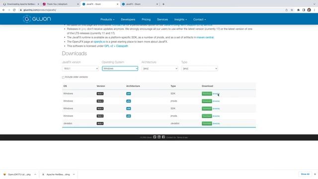 Download and Setup (Adoptium) JDK 17, Apache NetBeans 14, and JavaFX 18 смотреть онлайн