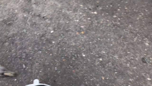 Toyota Prius состояние вентилятора охлаждения ВВБ на пробеге 300к смотреть онлайн