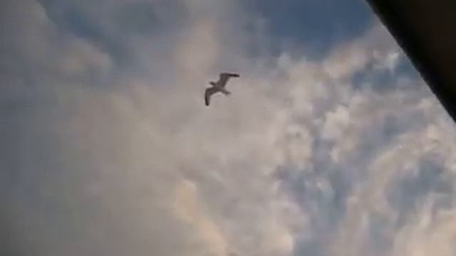 Пролив ЛаМанш