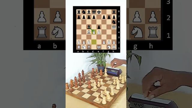 6 Move Check Mate | Scholars Mate Cover Variation Nh6 #chess #checkmate #games  #chesstricks   #kid