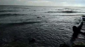Отдых Новороссийск Мысхако глазами туриста