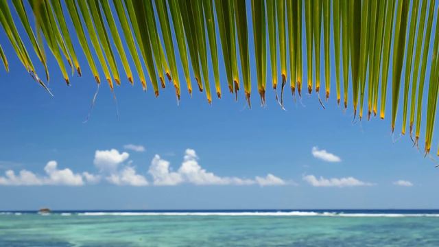 Dan Gibson’s Solitudes - Sea Breeze | Seaside Solo Piano смотреть онлайн