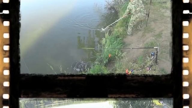 10 пруд Егорьевский рыбокомбинат.Съёмка на SONY HDR-AS20 смотреть онлайн