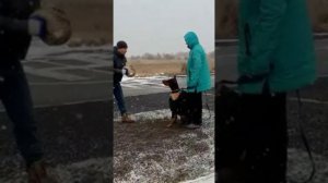 Doberman. Доберман. работа по защитной службе с молодым доберманом.