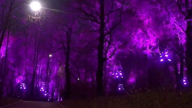 Сказочный лес на Воробьёвых горах смотреть онлайн