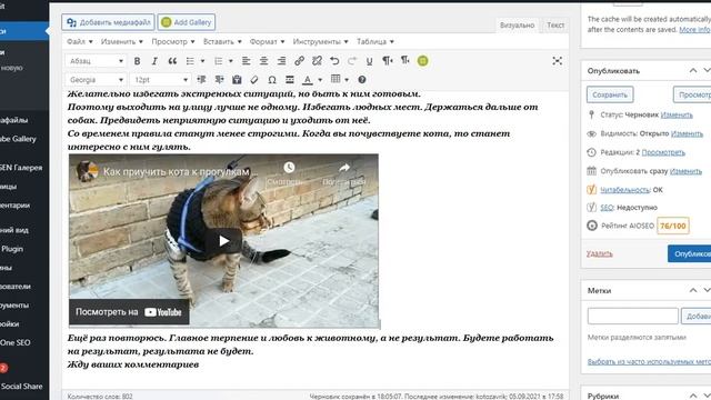 Как вставить видео с YouTube на свой сайт Wordpress смотреть онлайн