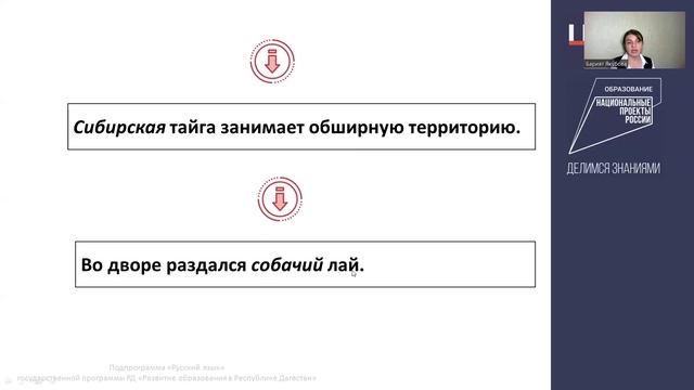 Синтаксическая роль прилагательных