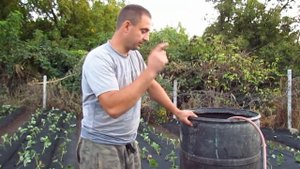 Кормление клубники (19.09.2020). Вношу удобрение через капельный полив. Нитроамофоска 16\16\16.