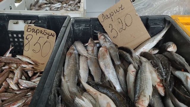 Евпатория 2023. Прогулка по Универсаму и обзор цен на "Чеченском рынке". Куриные яйца просто космос смотреть онлайн