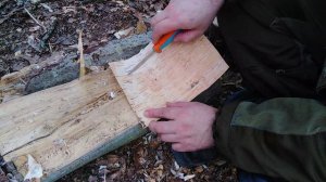 Посуда из бересты. (Если забыл дома)Выживание.Bushcraft tableware.