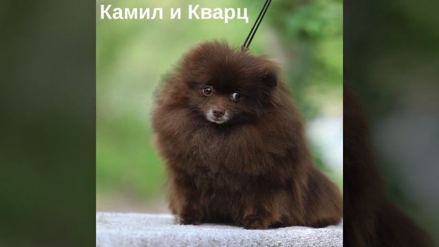 Ваша Очароваша