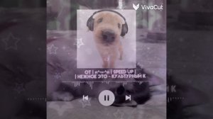 | Нежное это - культурный кот | ฅ^•ﻌ•^ฅ | speed up |