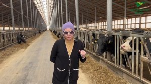 ЖЕНЩИНА В АПК РТ. ОДИН ДЕНЬ ИЗ ЖИЗНИ (Елена Николаевна Собина)