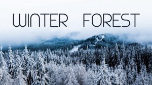 Winter Forest, Relaxing Music, Meditation Music, Sleeping Music, Yoga Music, Spa Music