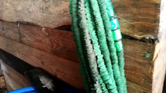 Обзор хозяйства, расходы кормов, рацион свиней смотреть онлайн