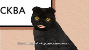 Летний сезон «Московское долголетие» | Кот Бублик