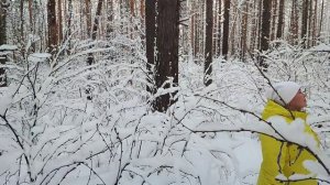 Баден-Баден. Зимний лес. Уральская зима. Зимняя сказка. #Зимний_лес #Урал_зима #Зима #Зимняя сказка