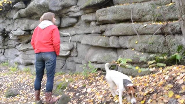 поход 7 братьев смотреть онлайн