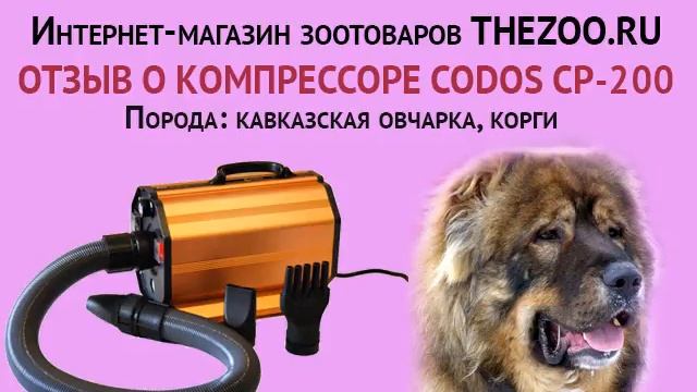 Отзыв: Елена Грушичева, Codos CP-200, порода - кавказская овчарка, вельш корги пемброк смотреть онлайн