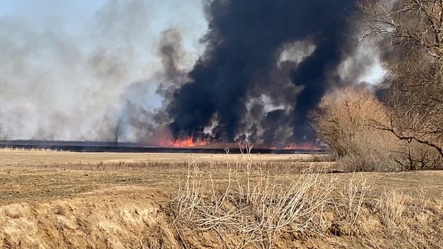 ДА СКОЛЬКО ЖЕ ТУТ ЩУК?. В добавок еще наловили густеры! смотреть онлайн
