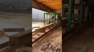 Распиловка тонкомера на лесопильной линии Алтай-Мамонт