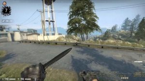 шакал смеется