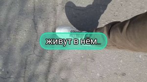 Донецк— город герой 🇷🇺.mp4