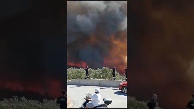 Мощный лесной пожар возник на хорватском острове Чиово