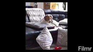 Лучшие приколы.