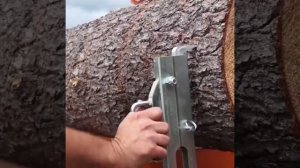 Мобильная лесопилка в деле