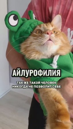 А у тебя есть эти признаки? #животные #котики #интересно