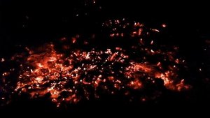 Звук горящего костра. Треск тлеющих углей. ЗАПАСАЮСЬ ДРЕВЕСНОЙ ЗОЛОЙ. КАКАЯ ЗОЛА САМАЯ ПОЛЕЗНАЯ.