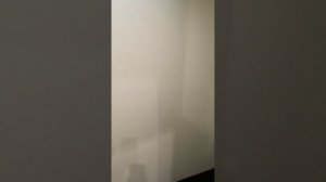 Обзор номера в отеле А1 в Санкт-Петербурге в Кирпичном переулке, д. 3