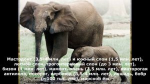 Краеведческий Музей города Вулканешты