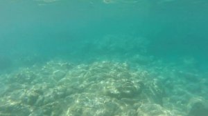 Снорклинг Средиземное море Кемер Турция Райская бухта