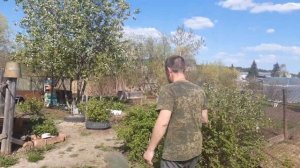 Конфликт с соседями