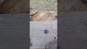 Устранение стука в передних стойках ИЖ ОДА( вжик).