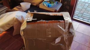 Хризантема мультифлора после зимовки в неотапливаемой теплице