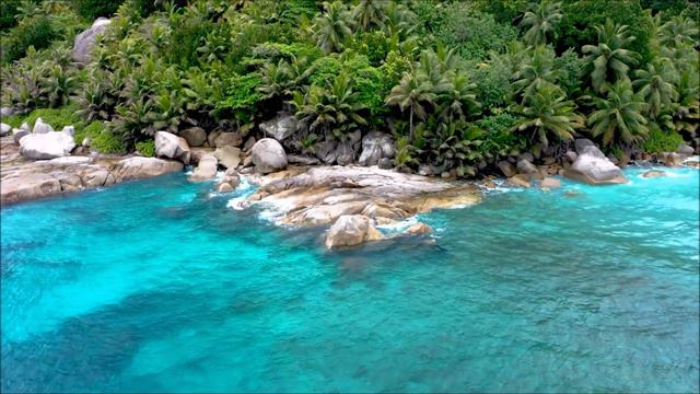 Wonderful melody to the sounds of the sea and beautiful palm trees смотреть онлайн