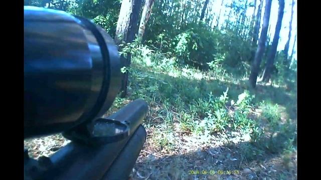 Crow hunting (дек #2 2018) смотреть онлайн