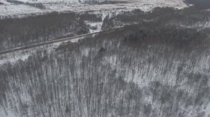 охота лось с квадрокоптера mavic2 zoom