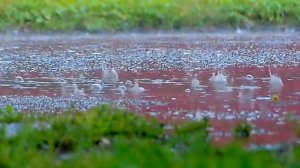 Можно ли управлять погодой?