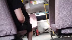 поездка на микроавтобусе Луидор-225000 (ГАЗ-322133) ( 2011 г.в ), м956тв174, маршрут 10Б