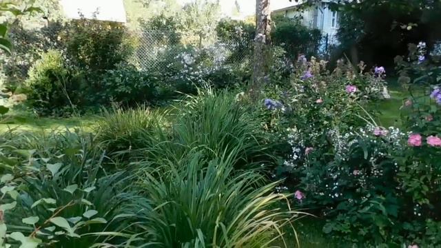 Идем в гости в сад Галины.Сад с изюминкой! смотреть онлайн