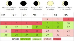 Календарь Рыбалова на Октябрь 2021 Лунный календарь Рыболова на Октябрь Какая рыба клюет в Октябре