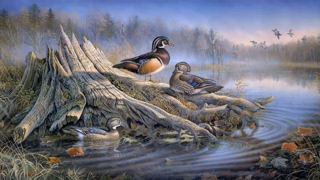 Картинка нарисованная. Sam Timm, Backyard Solitude, осенние листья, вода, живопись, озеро, утки. смотреть онлайн