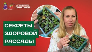 КАК ПРОИЗВОДИТЬ ПЕРЕСАДКУ БЕЗ УЩЕРБА ДЛЯ РАСТЕНИЙ