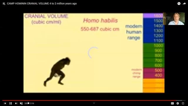 Australopithecus смотреть онлайн