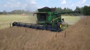 Уборка озимого рапса 2022! Комбайны John Deere T660i и РСМ 161! Чем же так интересен John Deere?!