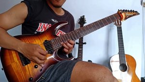 Elena Vaenga - Nevesta Guitar Cover (Guitar Solo/Epic Solo)